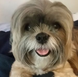 Meet your Posher, Ayla